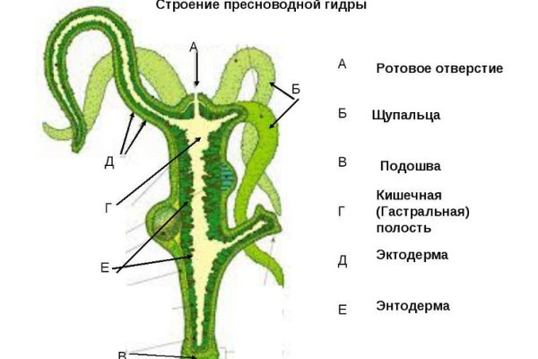 Kra19.cc