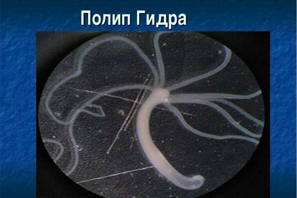 Кракен шоп это