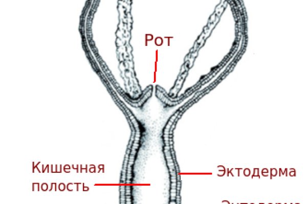 Рабочий кракен